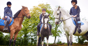 Guía de disciplinas ecuestres: todo lo que necesitas saber sobre el mundo del caballo Guía de disciplinas ecuestres: todo lo que necesitas saber sobre el mundo del caballo
