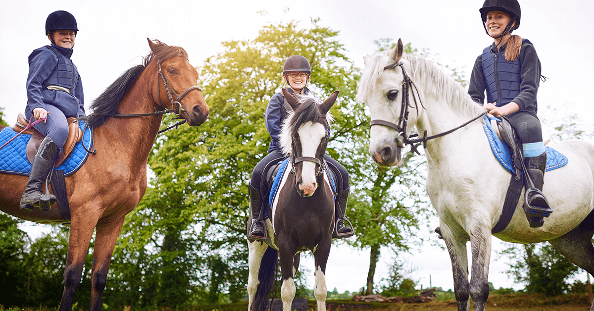Guía de disciplinas ecuestres: todo lo que necesitas saber sobre el mundo del caballo Guía de disciplinas ecuestres: todo lo que necesitas saber sobre el mundo del caballo