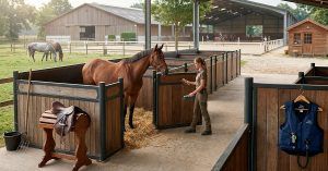 Qué es el pupilaje de caballos y qué tipos de pupilaje existen para tener un caballo