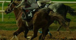 Caballo pura sangre inglés: guía completa de la raza purasangre Caballo pura sangre inglés: guía completa de la raza purasangre