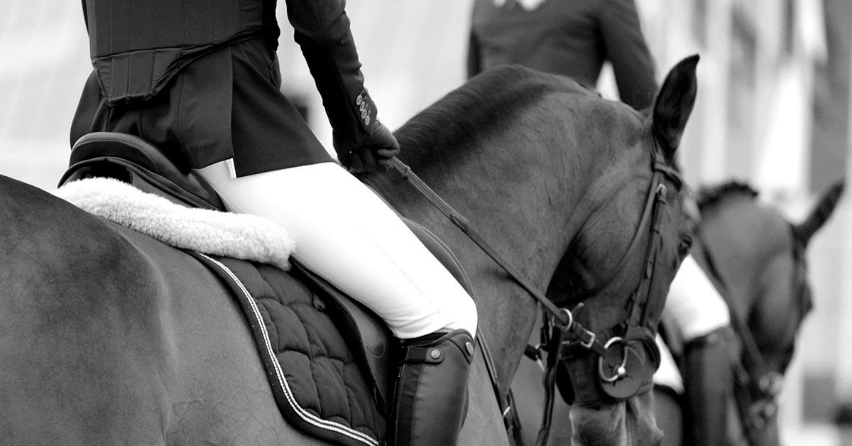 Errores comunes al aprender a montar a caballo Errores comunes al aprender a montar a caballo